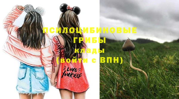 прущий лед Пролетарск
