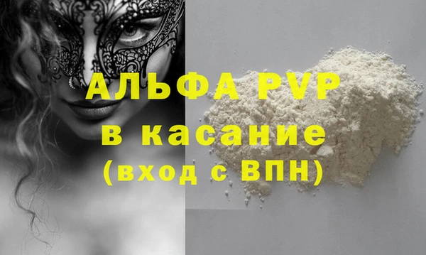прущие грибы Арсеньев