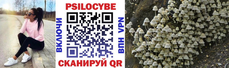 Псилоцибиновые грибы Magic Shrooms darknet Telegram Снежногорск даркнет сайт